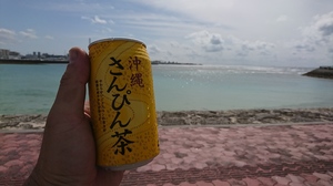 DSC_0472.JPG