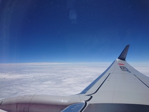 DSC_7209.JPG