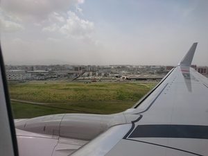 DSC_7217.JPG