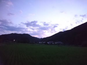 DSC_9146.JPG