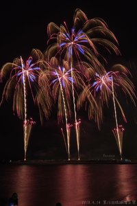 kaiennsai2018banana2.jpg